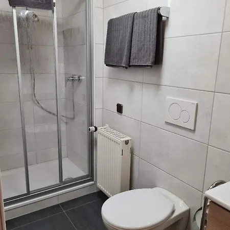 Pension Zum Grunen Wald 2*