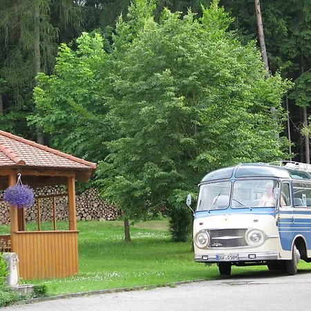 Pension Zum Grunen Wald Guest house