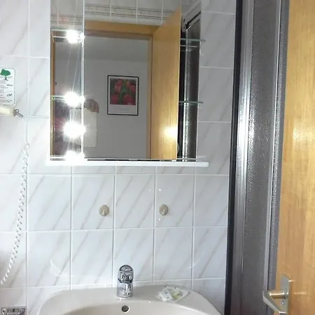 Guest house Pension Zum Grunen Wald Feuchtwangen