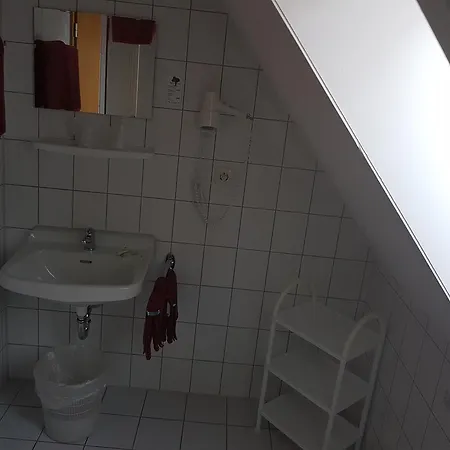 Zum Gruenen Wald Penzion 3*