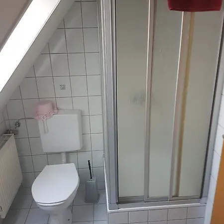 Pension Zum Grunen Wald Guest house